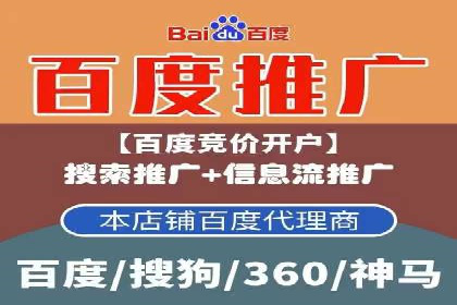 某行业巨头如何利用百度推广服务费提升业绩